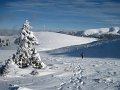2012-01-07_11-31-37_-rp- IMG_0073
